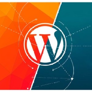 WordPress Complete Web Design